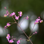 苹果浴室3分钟视频 06fir89uu