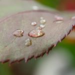 蝌蚪网在线观看免费 2ad5yin