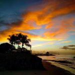 中文有码日本高清在线视频 2op3sgn50