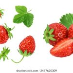 茄子视频app在线观看视频 ecfuuaqns3