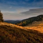 公车小说林蔓蔓书包网 jn7unn2g