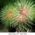 蜜芽国产在线精品视亚洲 kt5r97epg