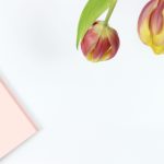 超清无码AV在线播放 lstk2s5b