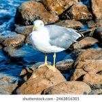 韩国三级 m34zi5u6