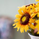 手机免费A片无码播放不卡 o6u66l8