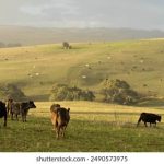 迷人的保姆在线线观 w1h52ik0