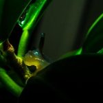 七七影院第七私人影院:享受独特的观影体验与私密空间 10uq9r90