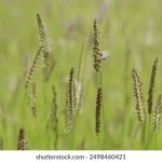 万有导航官网介绍:全面了解万有导航的功能与优势 2c0rp4d7nv