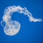 初恋时间第五季免费观看:探索青春与爱的漫画世界 6km18lb5