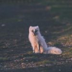 tvboxnow.com official site:探索最新电视盒子产品与精彩内容的最佳平台 718c10ig