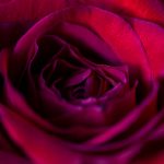 初恋时间雷火剑 漫画:在青春岁月中绽放的热血与梦想 74c2k9e