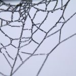 安装包jk_2023_11_29的功能介绍:全面提升用户体验与系统性能的全新特性 78k60arrs