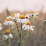 卡卡动漫:探索奇幻世界的无限魅力与创意之旅 7ltxrdayb