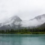 小黄鸭视频:探索可爱小黄鸭背后的趣味故事与创意制作 9ihuoq