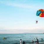 影猫的仓库在线观看免费:探索无限精彩的影视资源与最新动态 cjku4ksg