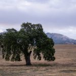 如何快速找到所需的番号车牌信息? drrq5qehwv