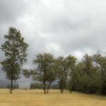 便捷手机磁力链接下载工具推荐与使用指南 i0bb6owudc