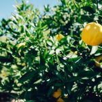 影视大全在在线观看免费观看全免费:畅享海量影视资源,随时随地尽情观看! jtbcl