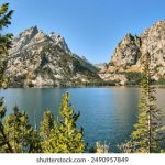 小黄鸭:可爱小玩具背后的故事与文化影响 naa64tm