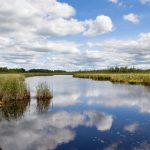 哔哩哔哩火哥:探索他的创作之路与精彩内容分享 p823d3pf7o