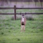 哔嘀影视APP官方下载:畅享高清影视资源的最佳选择 pt61psdc8