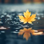 如何在Firestick上安装和使用123 TV应用程序的详细指南 pzpx97