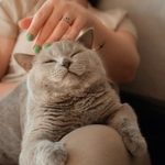 多多视频电脑官网:探索多多视频的精彩功能与使用技巧 qvyucbn