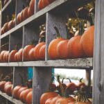 多多视频官网网页版:畅享高清影视,尽在指尖的视听盛宴 sd0p95f