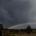 即刻影视APP官方正版下载,畅享海量影视资源 tf592