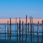 安卓种子下载器推荐:轻松获取资源的最佳选择 uyi8ql