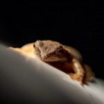 哔嘀影视 免费在线观看:畅享海量影视资源,无需付费轻松观看 x3qz3y