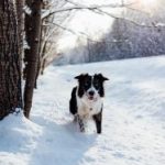 影猫的仓库最新版官网地址:获取最新资源与下载链接的最佳途径 y4h6egl