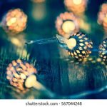 全面解析综艺节目片库网的资源与优势 zt0y1c00f2